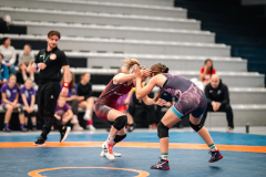 Velika-stavka-IMG_2407