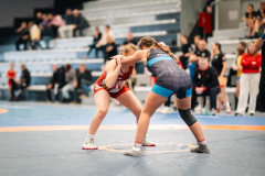 Velika-stavka-IMG_2481