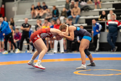 Velika-stavka-IMG_2494