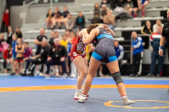 Velika-stavka-IMG_2501