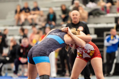 Velika-stavka-IMG_2506