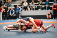 Velika-stavka-IMG_2518