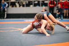 Velika-stavka-IMG_2520