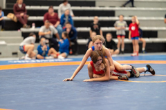 Velika-stavka-IMG_2526