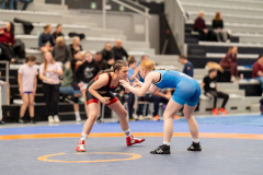 Velika-stavka-IMG_2568