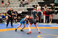 Velika-stavka-IMG_2576