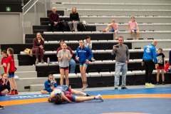 Velika-stavka-IMG_2580