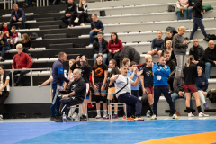 Velika-stavka-IMG_2583