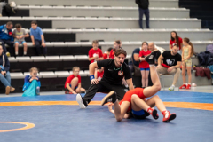 Velika-stavka-IMG_2617