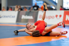 Velika-stavka-IMG_2635