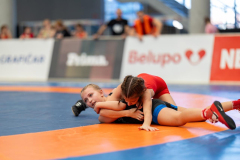 Velika-stavka-IMG_2638