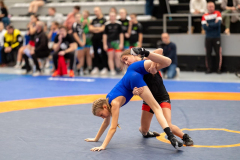 Velika-stavka-IMG_2648