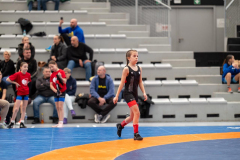 Velika-stavka-IMG_2663