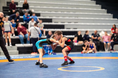 Velika-stavka-IMG_2667