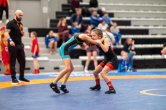 Velika-stavka-IMG_2669