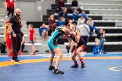 Velika-stavka-IMG_2670