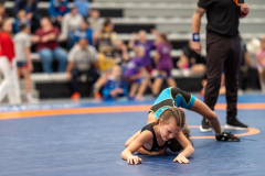 Velika-stavka-IMG_2682