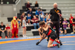 Velika-stavka-IMG_2684