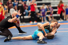 Velika-stavka-IMG_2690