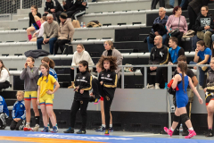 Velika-stavka-IMG_2706