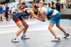 Velika-stavka-IMG_2710