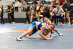 Velika-stavka-IMG_2721