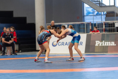 Velika-stavka-IMG_2762