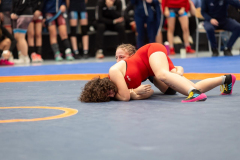 Velika-stavka-IMG_2767