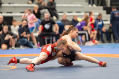 Velika-stavka-IMG_2817