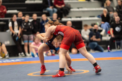 Velika-stavka-IMG_2825