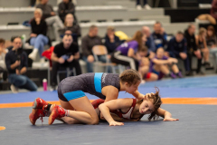 Velika-stavka-IMG_2836