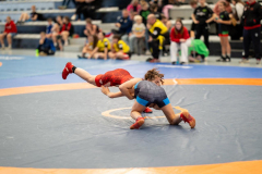 Velika-stavka-IMG_2855