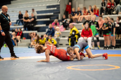 Velika-stavka-IMG_2904