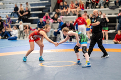 Velika-stavka-IMG_2931