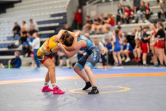 Velika-stavka-IMG_2972