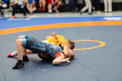 Velika-stavka-IMG_2975