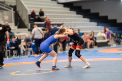 Velika-stavka-IMG_2994