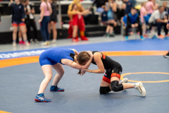 Velika-stavka-IMG_3009