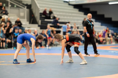 Velika-stavka-IMG_3014