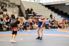 Velika-stavka-IMG_3015