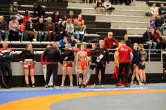 Velika-stavka-IMG_3016