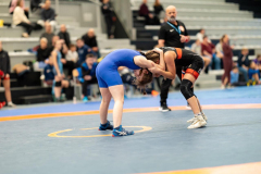 Velika-stavka-IMG_3035