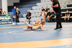 Velika-stavka-IMG_3037