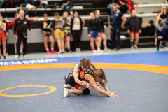 Velika-stavka-IMG_3042