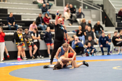 Velika-stavka-IMG_3059