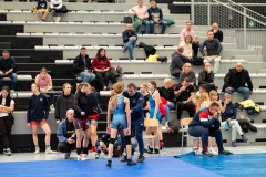 Velika-stavka-IMG_3072