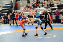 Velika-stavka-IMG_3078