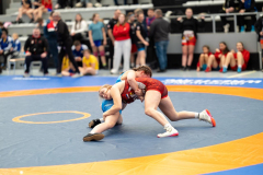 Velika-stavka-IMG_3100