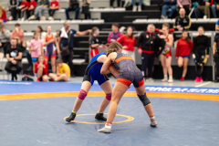 Velika-stavka-IMG_3121