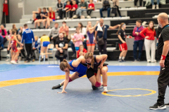 Velika-stavka-IMG_3126